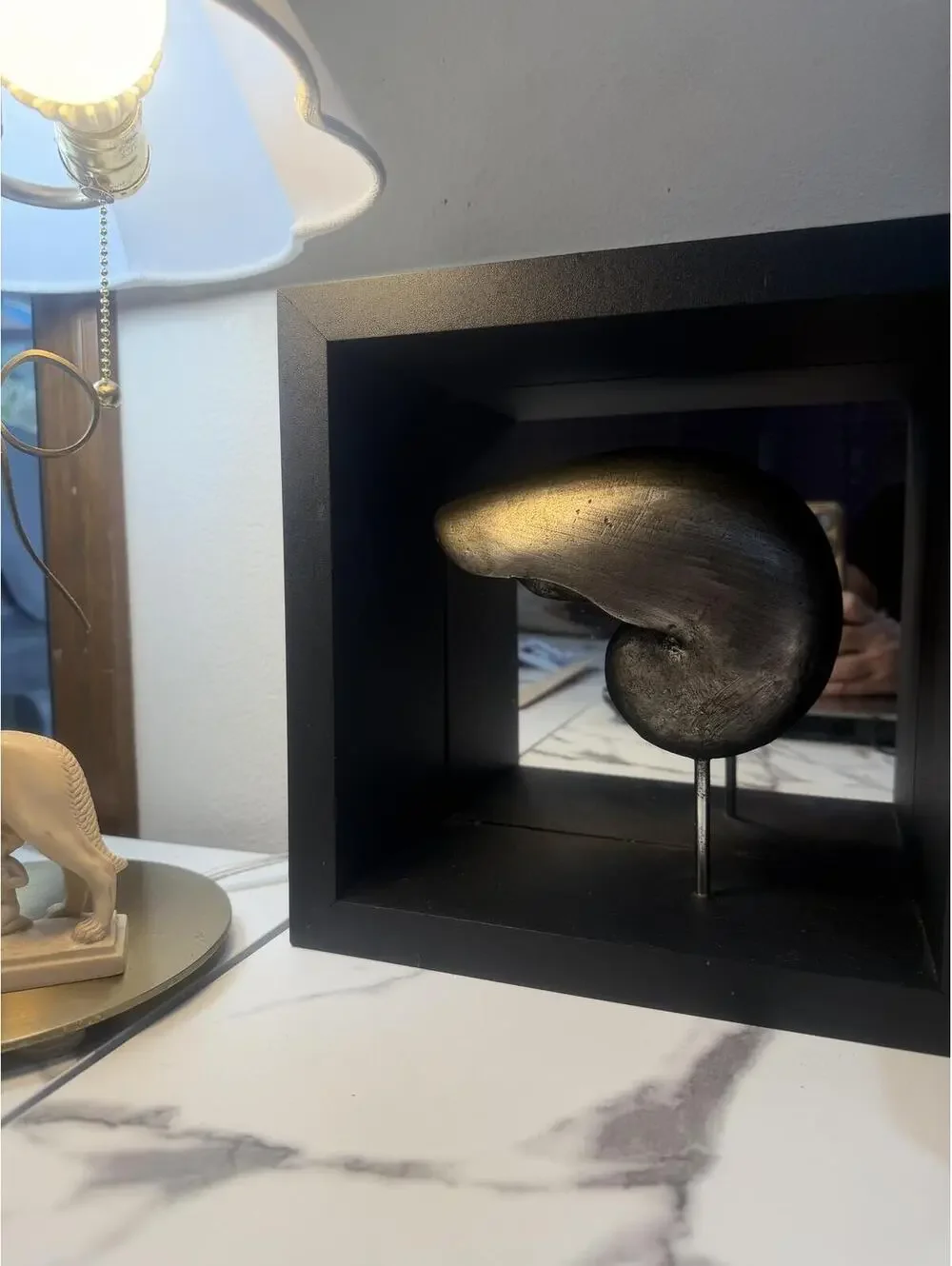 A beautiful and elegant mirrored black frame silver shell